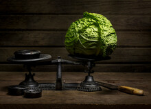 Head Of Cabbage On Old Iron Scale.