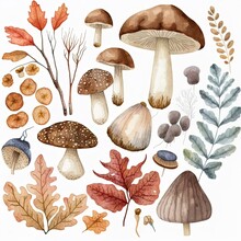 Watercolor Composition Of Autumn Elements In Vintage Style Hand Painted Autumn Illustration With Herbs, Leaves And Mushrooms In Muted Colors Vintage Forest Composition , Anime Style