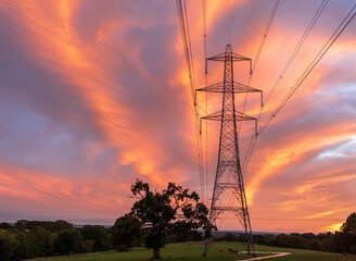 Wall Mural - High-voltage power lines passing through a green field.