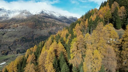 Sticker - autunno montagne larici 