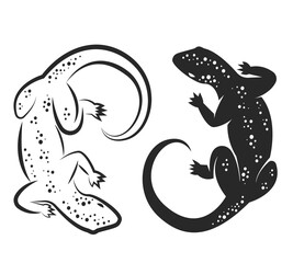 Wall Mural - Vector of lizard or chameleon design on white background. Wild Animals. Easy editable layered vector illustration.