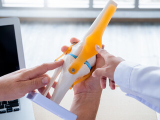 The knee ligaments model holding and pointing by doctor's hands, counseling by adult male specialist to young female doctor near laptop. Two doctors talking and working together in medical office.