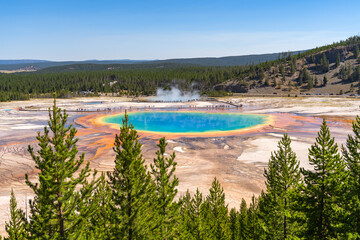 Sticker - Grand Prismatic Spring in Yellowstone National Park. 