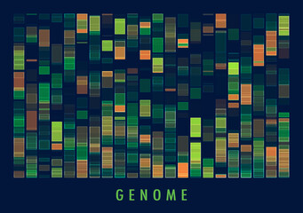 DNA genomic test, genome map