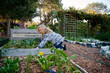 © StratfordProductions - Young caucasian woman in checked shirt kneeling while gardening over flowerbed in plant nursery