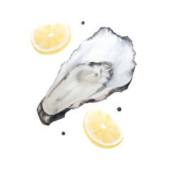 Wall Mural - Watercolor illustration of oyster with lemon and peppercorns isolated on white background