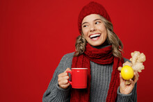 Young Woman Wear Grey Sweater Scarf Hat Hold Show Lemon Ginger Cup Of Hot Tea Look Aside Area Isolated On Plain Red Background Studio Healthy Lifestyle Ill Sick Disease Treatment Cold Season Concept