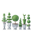 Set topiary plant, evergreen trimmed geometric shrubs. Tree in grey pot for home patio dekor. Hand drawn watercolor painting illustration isolated on white background.