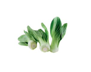 Poster - Choy    isolated on transparent png