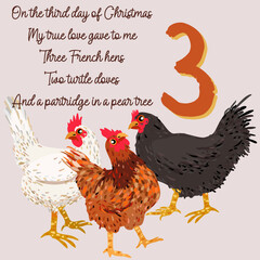 The twelve days of Christmas. Third day. Three french hens. Christmas concept.