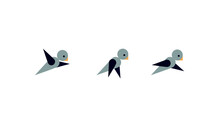 Bird - Picto - Animate