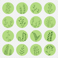 Poster - Collection of floral round icons in green color. Set of various vector highlight covers for social media stories. Hand drawn templates. Vector illustration