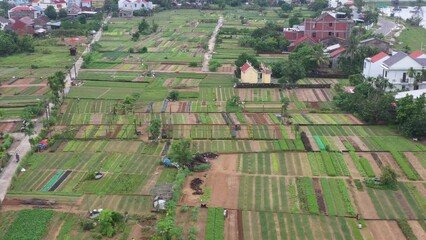 Wall Mural - AERIAL VIEW OF TRA QUE VILLAGE IN WORLD HERITAGE LISTED HOI AN, VIETNAM