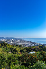 Wall Mural - Odawara city seen from the mandarin orange field.