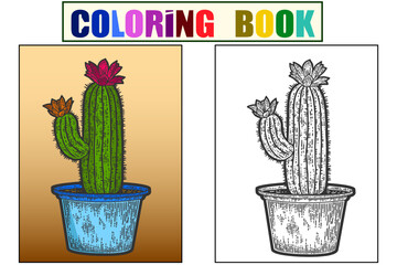 Wall Mural - Blooming cactus in a pot. Sketch scratch board, home interior. Set example and children color.