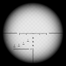 Sniper Scope Sight View. Crosshair Inspection.