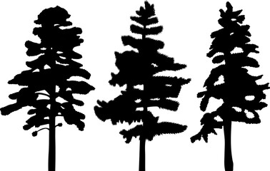 Sticker - pine tree silhouette design vector isolated