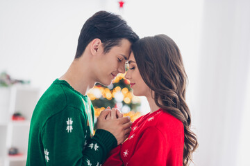 Poster - Portrait of attractive tender sweet cheerful people couple hugging enjoying spending magic vacation holding hands room indoors