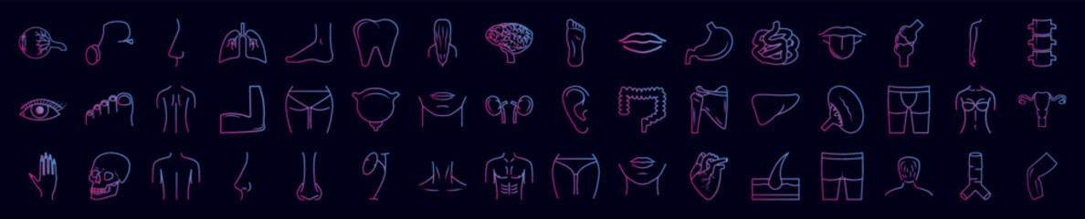 Poster - Body parts nolan icon collections vector design