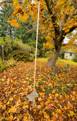 Wall Mural - Maple leaves fallen on backyard lawn and patio with tree and rope swing salem Oregon