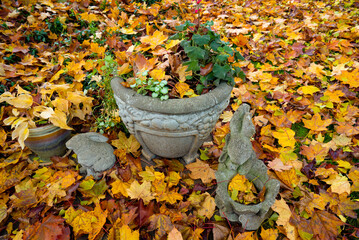 Wall Mural - Maple leaves fallen on backyard garden plants and sculpture decorations,  salem Oregon