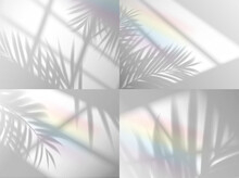 Palm Leaves Shadow With Rainbow Background Overlay, Vector Window And Plant Branch Silhouette. Summer Palm Leaf Shadow Overlay With Sun Light Shade Through Window, Realistic Rainbow Light Effect