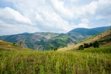 Fototapeta Na sufit - View of the nature trail on the mountain in Thailand