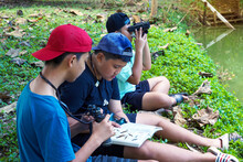 Asian Boy And Friends Invite Each Other To See Birds In The Community Forest On Holidays. And Help Each Other To Search For The Types Of Birds Found From The Birds Guide Book.