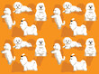 Dog Maltese Poses Cute Character Seamless Wallpaper Background