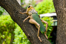 Grasshopper As A Yard Toy