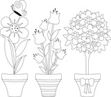 Fototapeta Zwierzęta - Flowers in flowerpots. Vector black and white coloring page