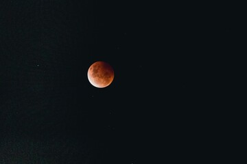 Poster - Blood super moon in a dark sky