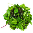 Salad mix with rucola, lettuce, shpinach isolated on white background. 