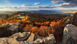 © TTstudio - Sunset landscape with high peaks and valley with autumn spruce forest under vibrant colorful evening sky in forest mountains.