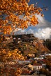 Vertical shot of houses in Halden town on the view of a yellow autumn tree, Norway