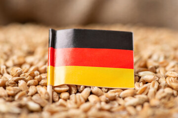 Canvas Print - Flag of Germany on wheat grain. Growing wheat in Germany concept