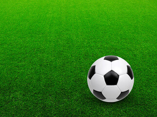 Canvas Print - Soccer ball on the green grass