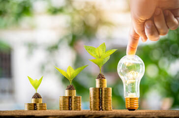 Wall Mural - Man hand hold light bulb and stack gold coin and plant with savings money put on the wood on the morning sunlight in the public park, Business investment and saving growth concept.