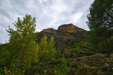 autumn forest against the backdrop of mountains