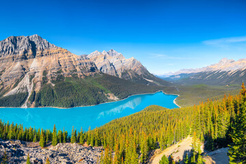 Canvas Print - Banff National Park, Alberta, Canada. A huge panorama of Lake Peyto. Landscape during daylight hours. A lake in a river valley. Mountains and forest. Natural landscape.