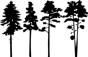 Canvas Print - spruce silhouette, pine trees design vector isolated