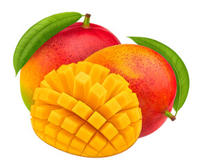Poster - Mango fruit isolated on white background