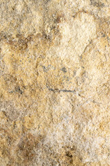 Sticker - light limestone with interesting texture visible. background