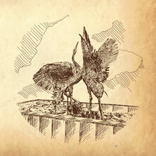 Sculpture Of A Pair Of Dancing Birds Cranes