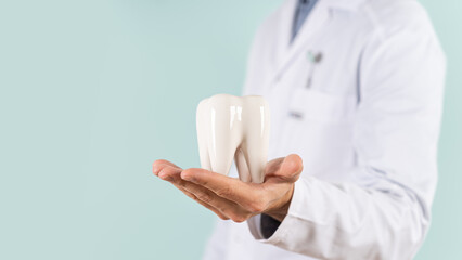 A young male dentist holds a model tooth on a blue background. Close up. Teeth care, dental treatment, tooth extraction, implant concept. Hygienist, orthodontist. Dental clinic. Teeth care