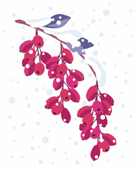 Wall Mural - Winter berries. A sprig of barberry with berries and rare leaves under the falling snow. Vector illustration isolated on white background.