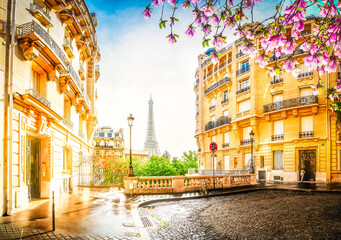 Wall Mural - eiffel tour and paris street