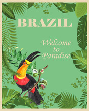 Brazil Travel Vintage Poster For Holiday Manifest Sign
