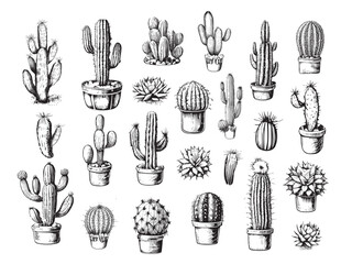 Wall Mural - Cactus set hand drawn sketch Plants Vector illustration.