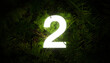 © Timur - Jungle number 2 two